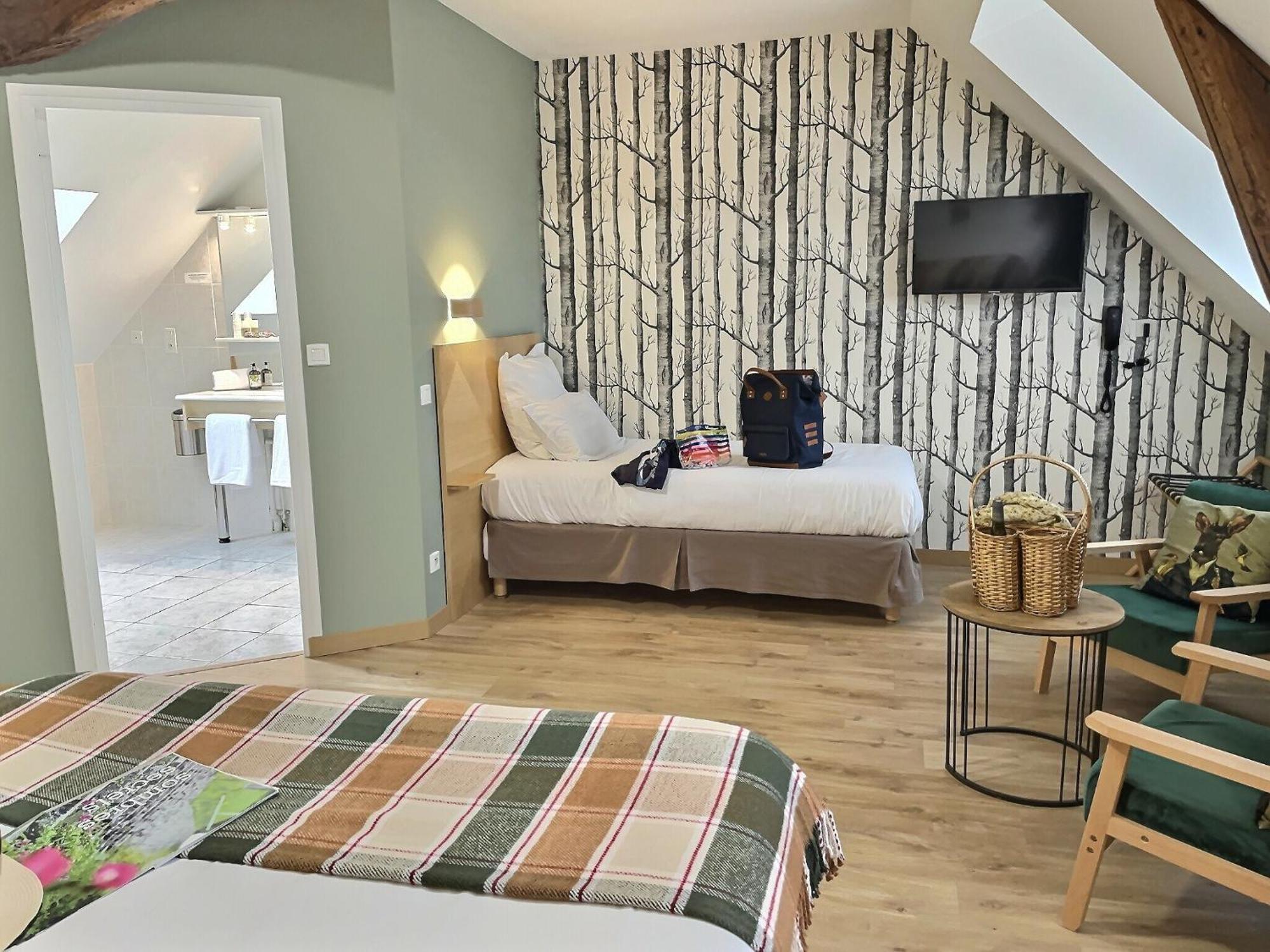 Logis Hotel Du Cygne ブラシュー 部屋 写真